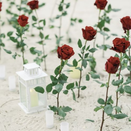 punta_cana_proposal-1