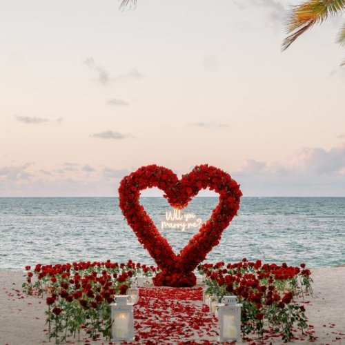 punta-cana-proposal-1