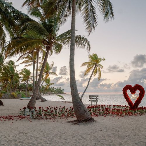 punta-cana-proposal-3
