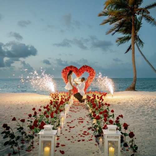 proposal-48