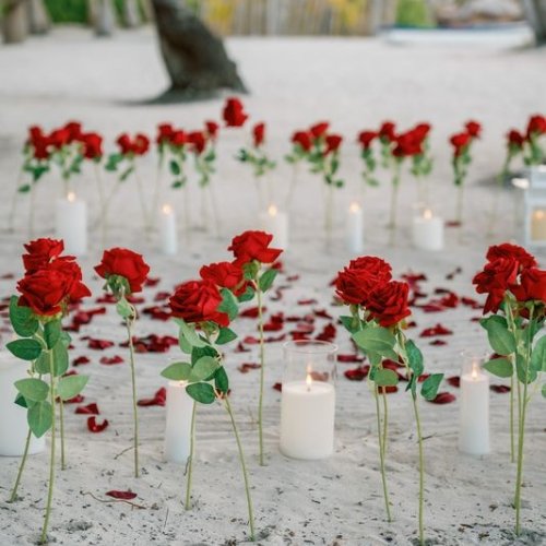 punta_cana_proposal-1
