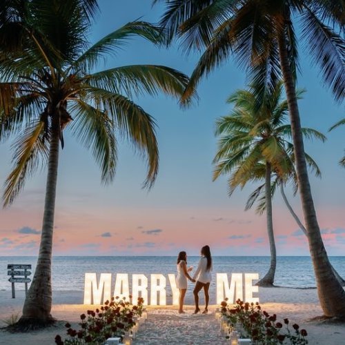 same_sex_engagement-24
