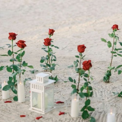 punta_cana_proposal-4