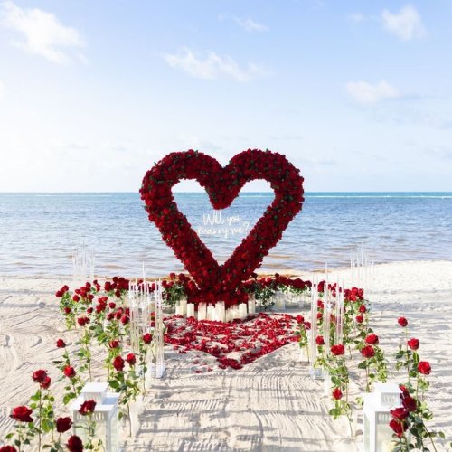 punta-cana-proposal-2