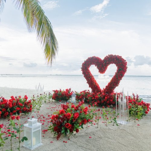 punta-cana-proposal-3