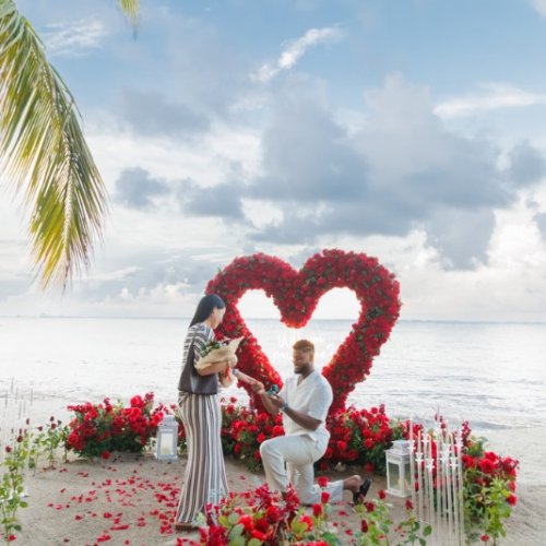 punta-cana-proposal-7