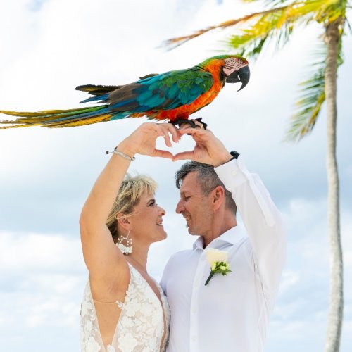 elopement-in-dominican-45