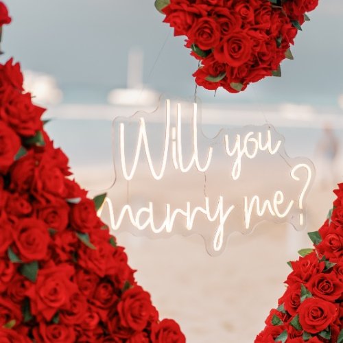 romantic-marriage-proposal-dominican-republic-5