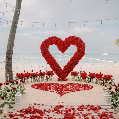 romantic-marriage-proposal-dominican-republic-8