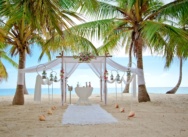 Punta Cana wedding. Special offer